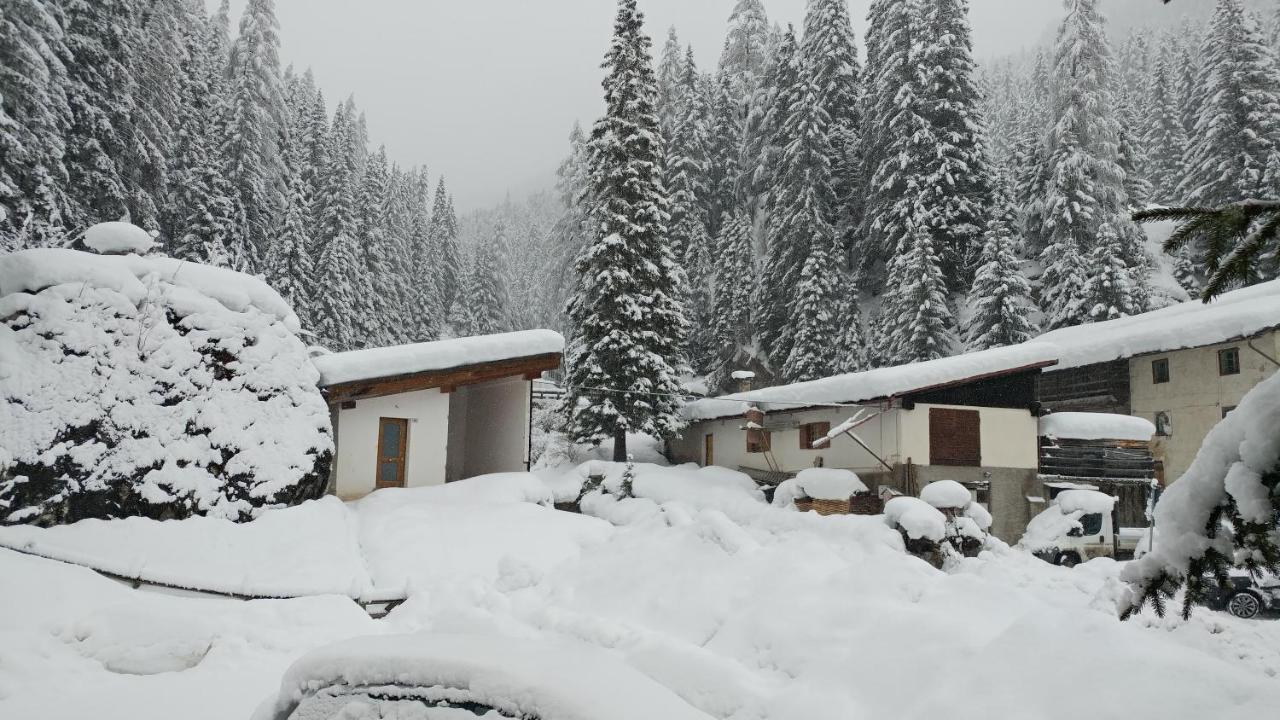 Casa Del Bosco Daire Canazei Dış mekan fotoğraf