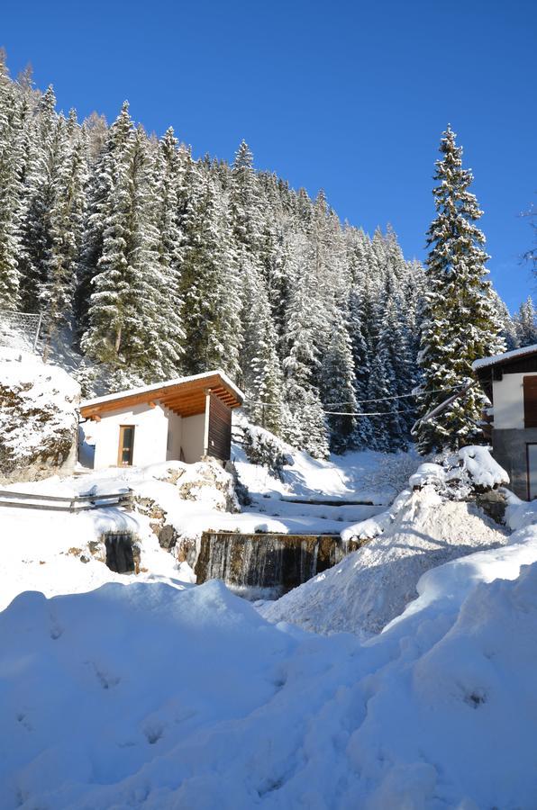 Casa Del Bosco Daire Canazei Dış mekan fotoğraf